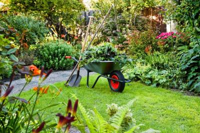 Tuinonderhoud